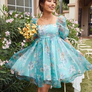 Floral Puff Sleeve Organza Dress